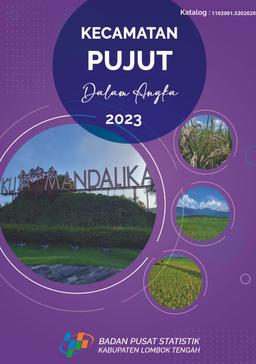 Pujut Subdistrict In Figures 2023