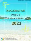 Pujut Subdistrict in Figures 2021